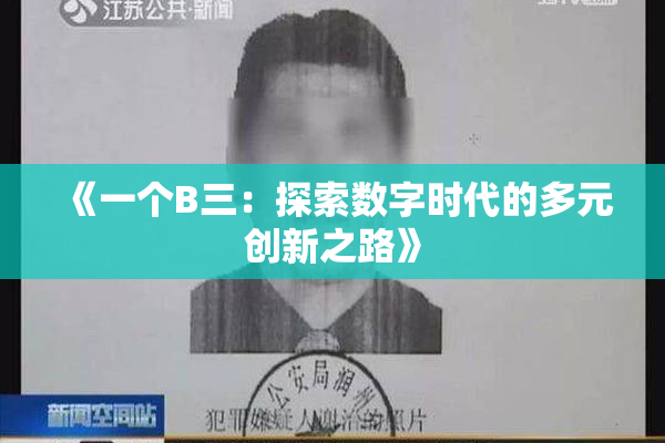 《一个B三：探索数字时代的多元创新之路》