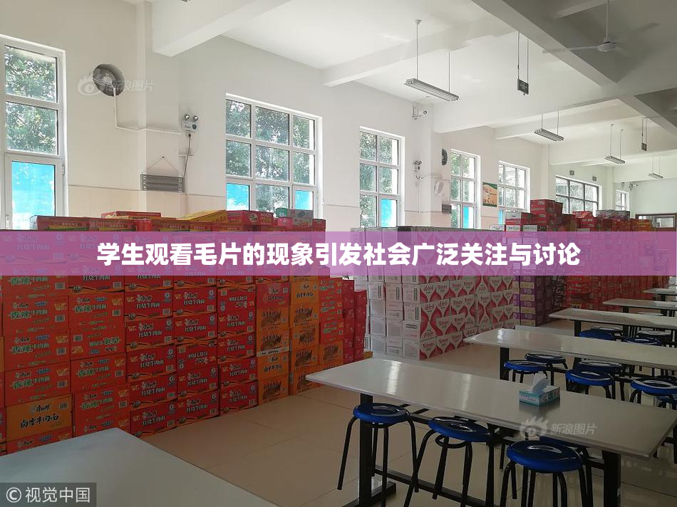 学生观看毛片的现象引发社会广泛关注与讨论