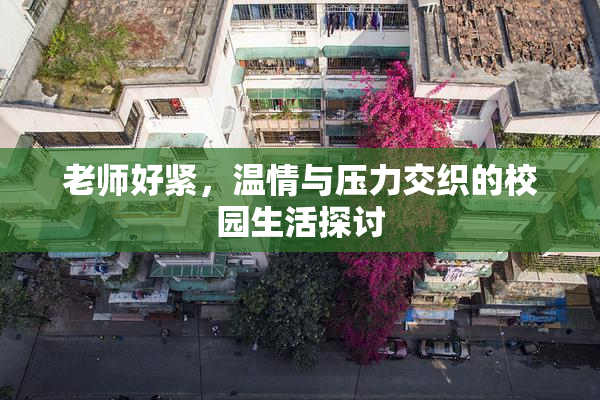 老师好紧，温情与压力交织的校园生活探讨