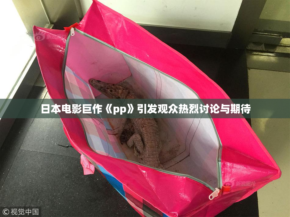 日本电影巨作《pp》引发观众热烈讨论与期待
