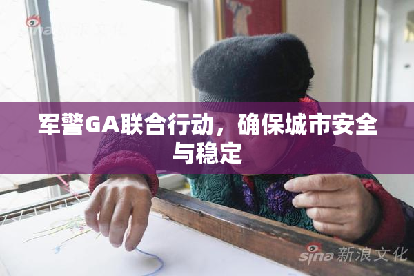 军警GA联合行动，确保城市安全与稳定