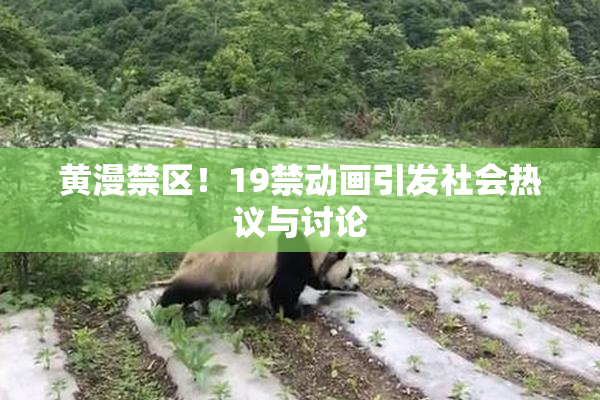 黄漫禁区！19禁动画引发社会热议与讨论