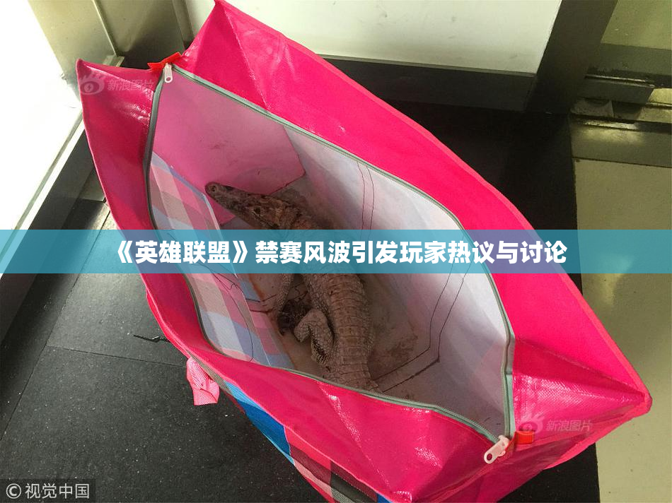 《英雄联盟》禁赛风波引发玩家热议与讨论