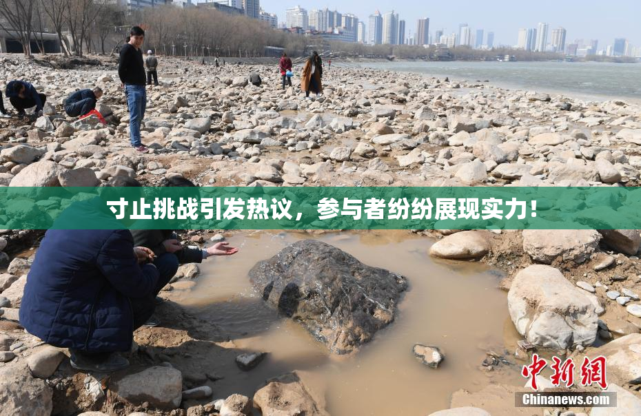 寸止挑战引发热议，参与者纷纷展现实力！