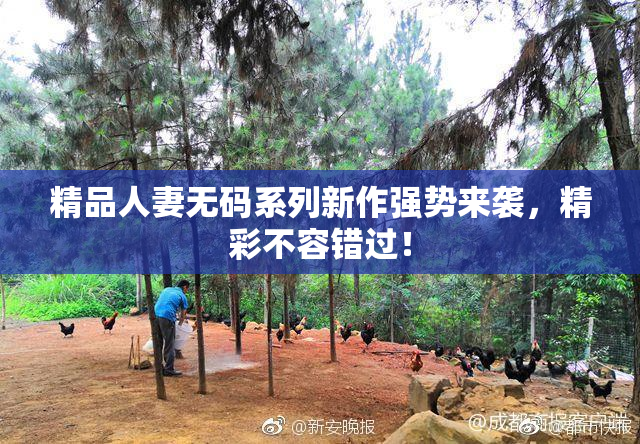 精品人妻无码系列新作强势来袭，精彩不容错过！