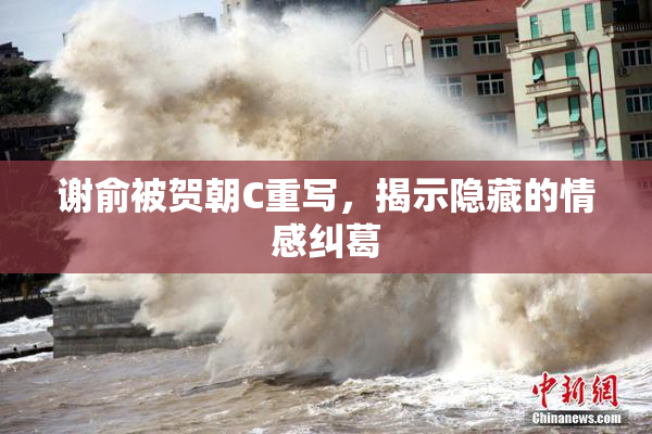 谢俞被贺朝C重写，揭示隐藏的情感纠葛
