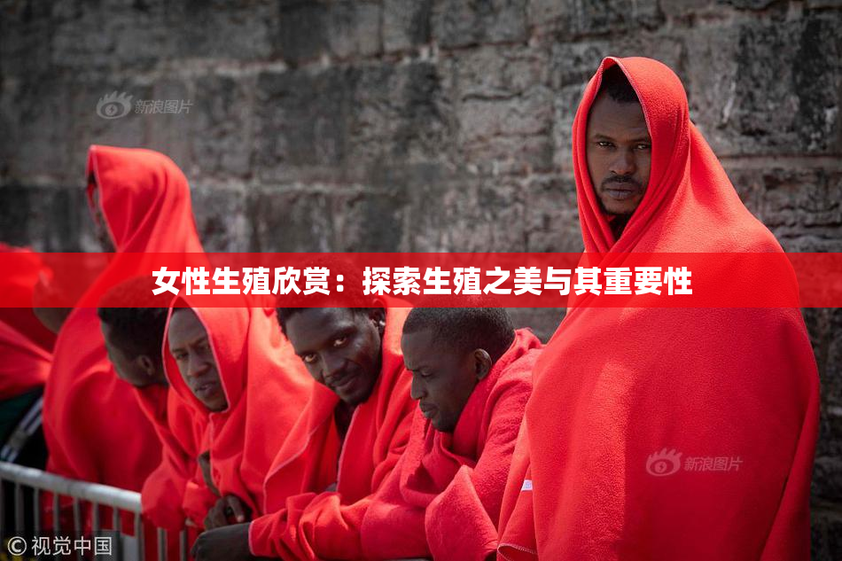女性生殖欣赏：探索生殖之美与其重要性