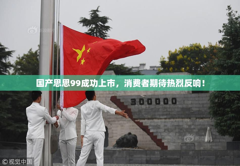 国产思思99成功上市，消费者期待热烈反响！