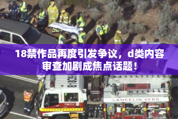 18禁作品再度引发争议，d类内容审查加剧成焦点话题！