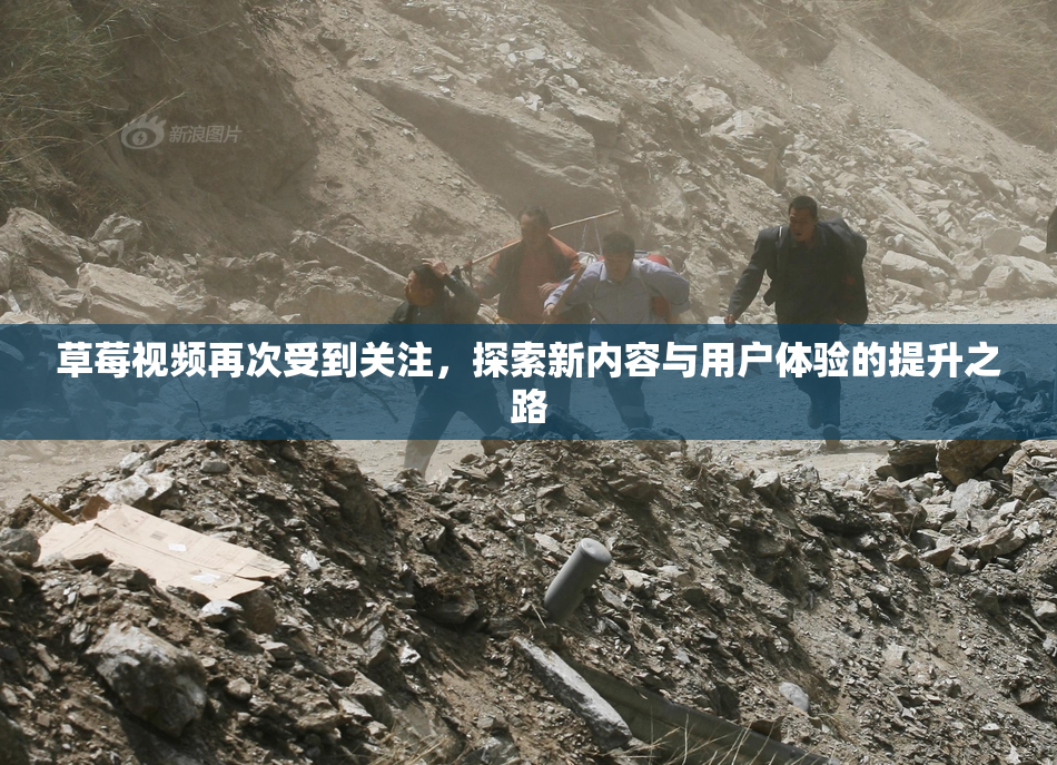 草莓视频再次受到关注，探索新内容与用户体验的提升之路