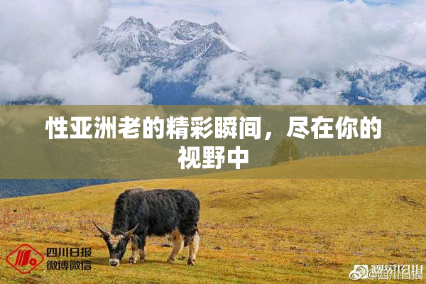 性亚洲老的精彩瞬间，尽在你的视野中