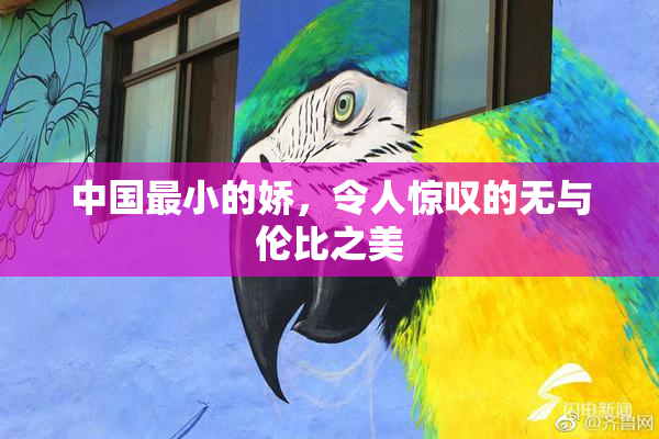 中国最小的娇，令人惊叹的无与伦比之美
