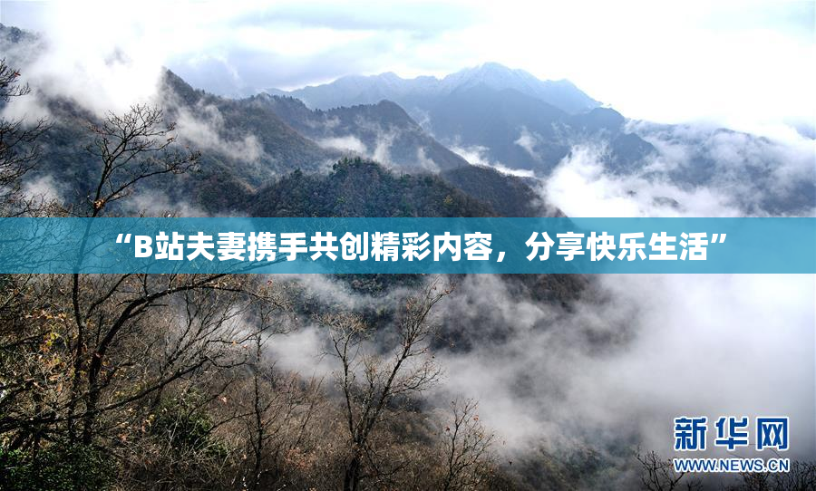 “B站夫妻携手共创精彩内容，分享快乐生活”