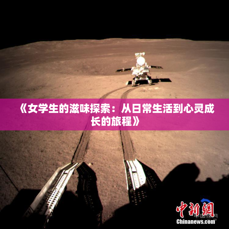 《女学生的滋味探索：从日常生活到心灵成长的旅程》