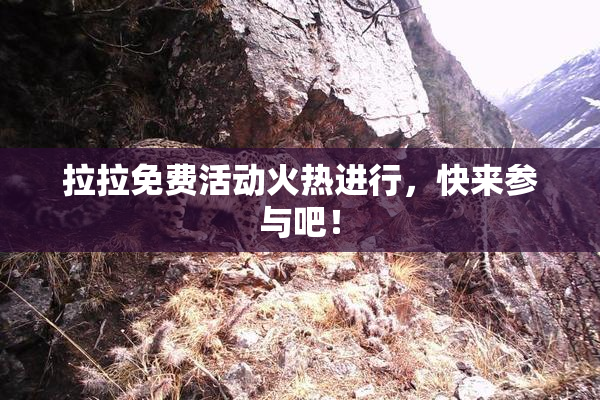 拉拉免费活动火热进行，快来参与吧！