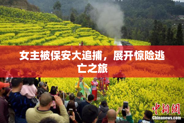 女主被保安大追捕，展开惊险逃亡之旅