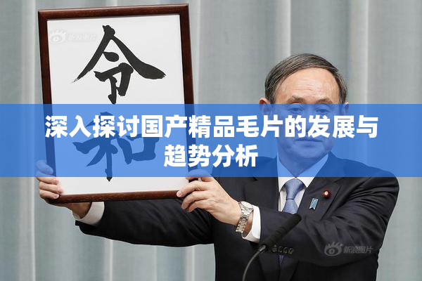 深入探讨国产精品毛片的发展与趋势分析