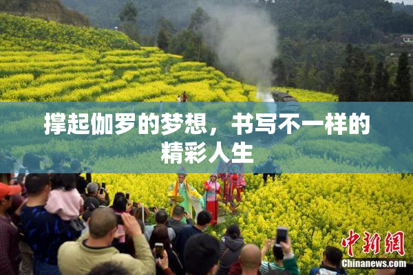 撑起伽罗的梦想，书写不一样的精彩人生