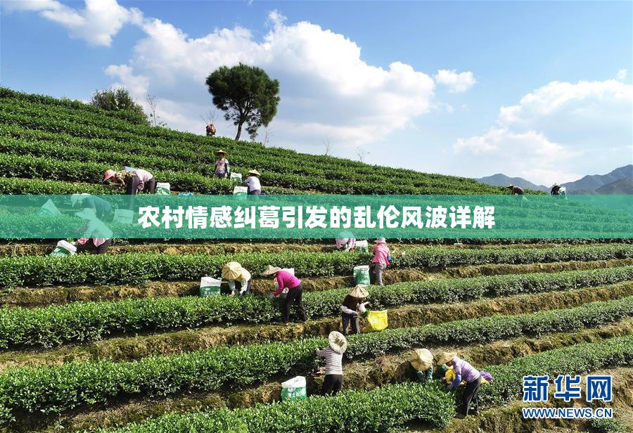 农村情感纠葛引发的乱伦风波详解