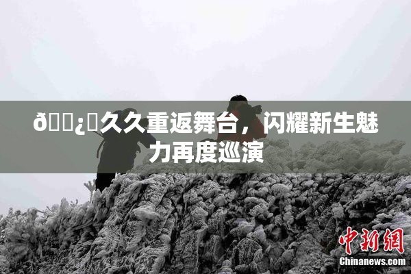 🌿‌久久重返舞台，闪耀新生魅力再度巡演