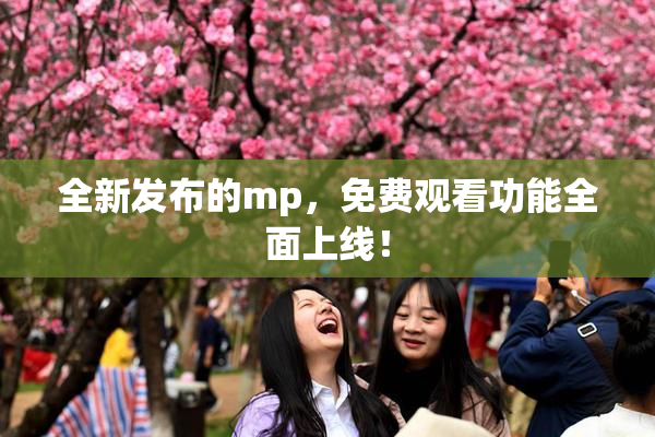 全新发布的mp，免费观看功能全面上线！