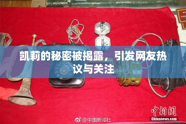 凯莉的秘密被揭露，引发网友热议与关注