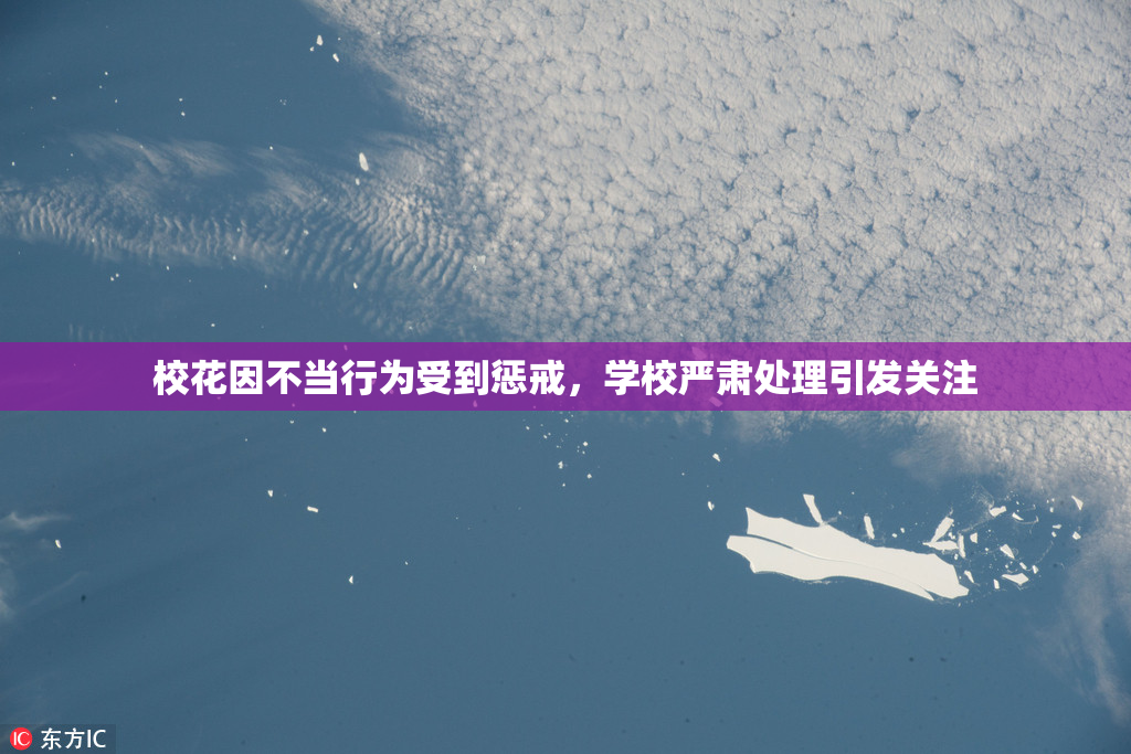 校花因不当行为受到惩戒，学校严肃处理引发关注