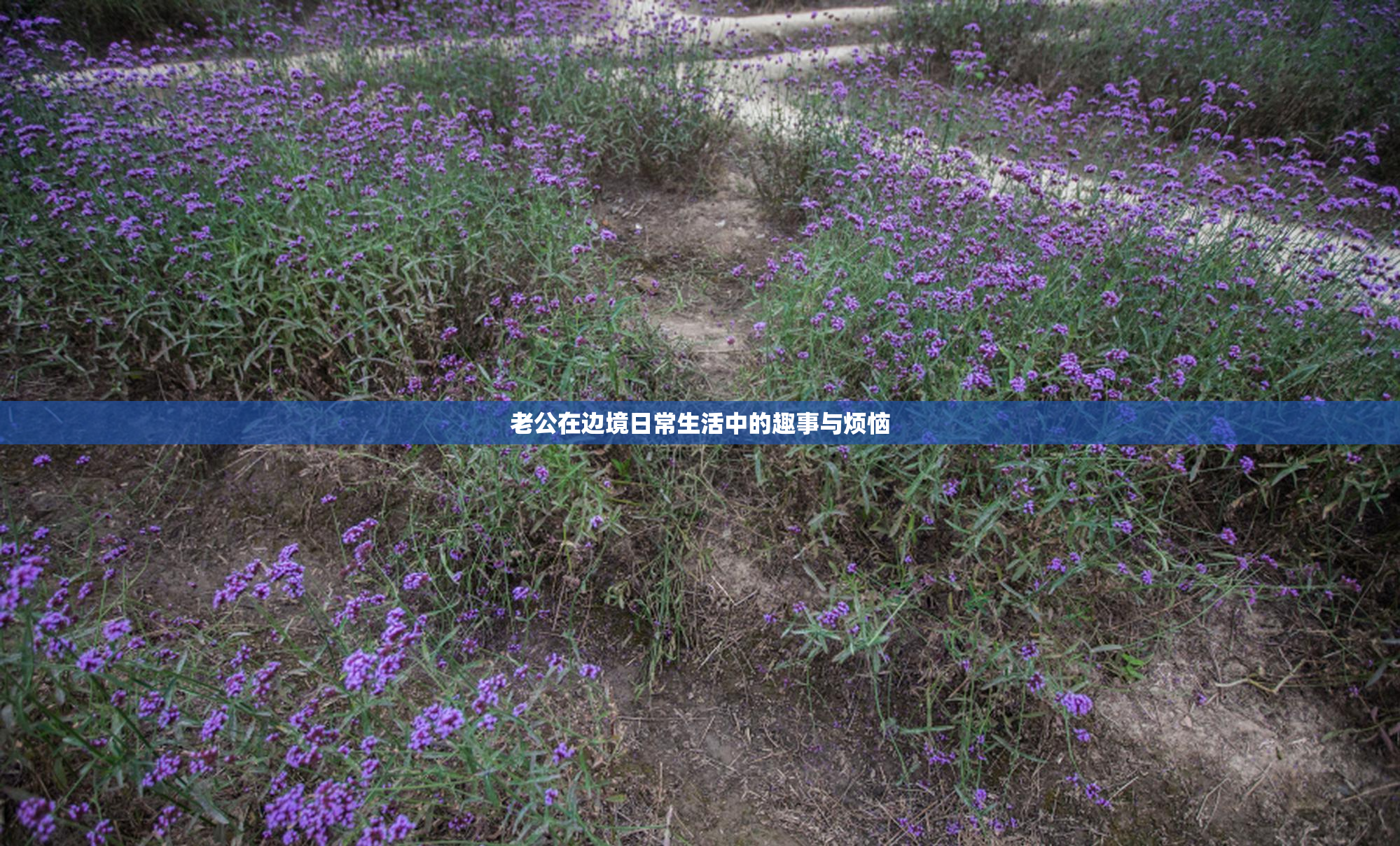 老公在边境日常生活中的趣事与烦恼
