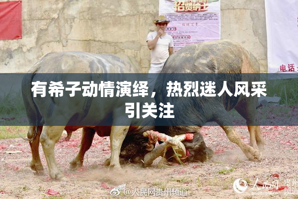 有希子动情演绎，热烈迷人风采引关注