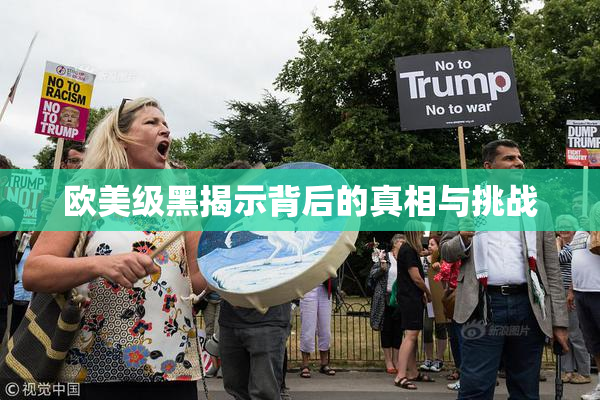 欧美级黑揭示背后的真相与挑战