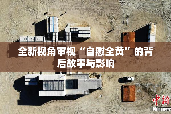 全新视角审视“自慰全黄”的背后故事与影响