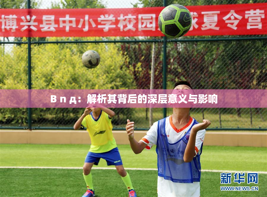 B n д：解析其背后的深层意义与影响
