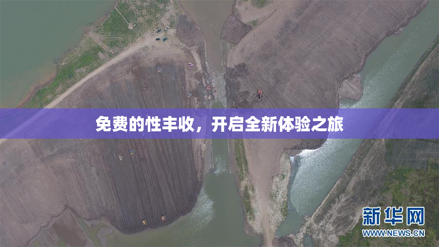 免费的性丰收，开启全新体验之旅
