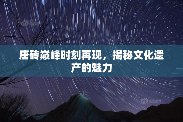 唐砖巅峰时刻再现，揭秘文化遗产的魅力