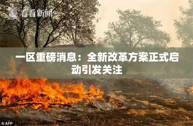 一区重磅消息：全新改革方案正式启动引发关注