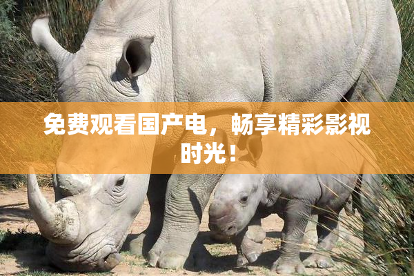 免费观看国产电，畅享精彩影视时光！