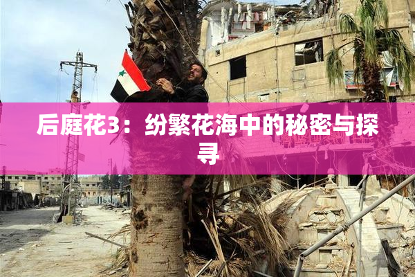后庭花3：纷繁花海中的秘密与探寻