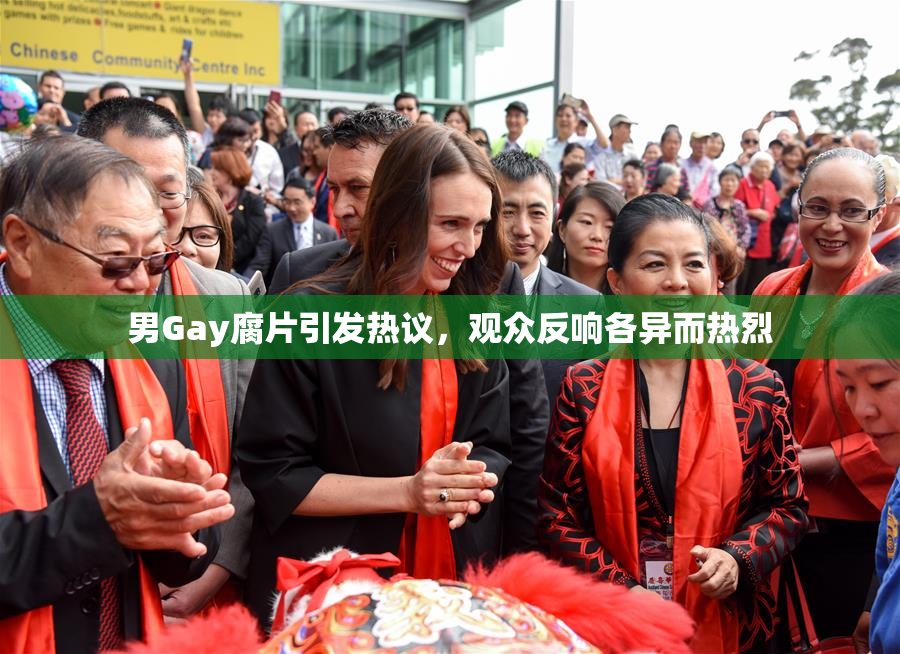 男Gay腐片引发热议，观众反响各异而热烈