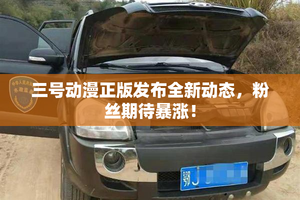 三号动漫正版发布全新动态，粉丝期待暴涨！