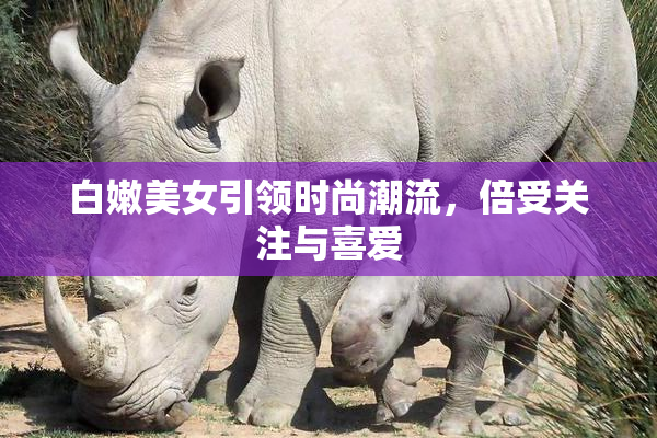 白嫩美女引领时尚潮流，倍受关注与喜爱