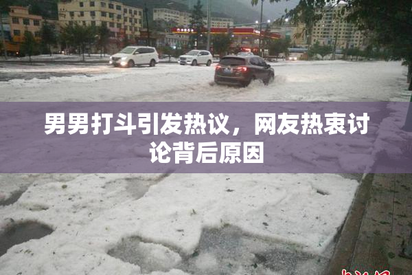 男男打斗引发热议，网友热衷讨论背后原因