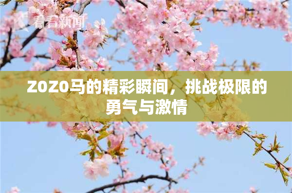 Z0Z0马的精彩瞬间，挑战极限的勇气与激情