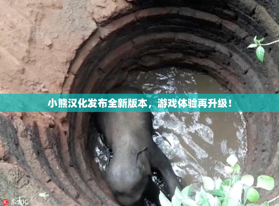 小熊汉化发布全新版本，游戏体验再升级！