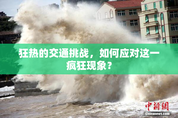 狂热的交通挑战，如何应对这一疯狂现象？