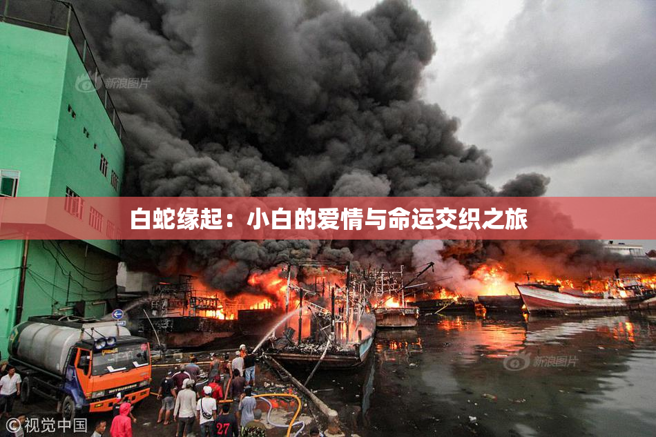 白蛇缘起：小白的爱情与命运交织之旅