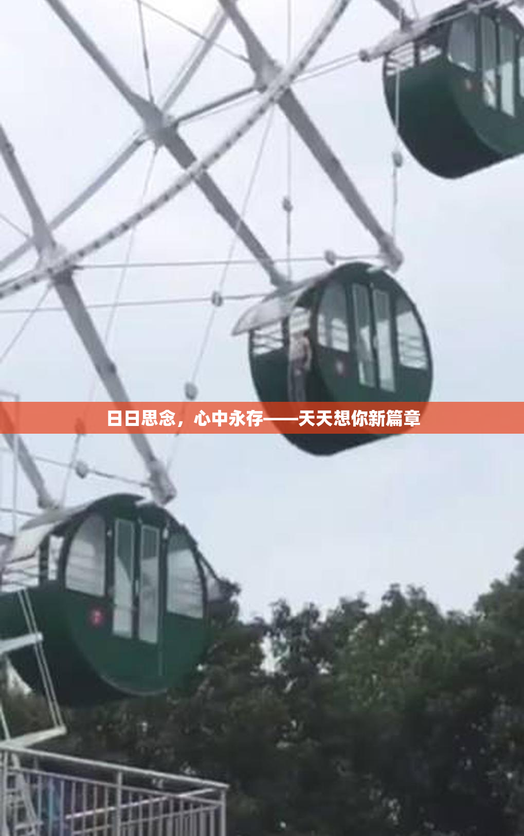 日日思念，心中永存——天天想你新篇章
