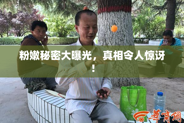 粉嫩秘密大曝光，真相令人惊讶！