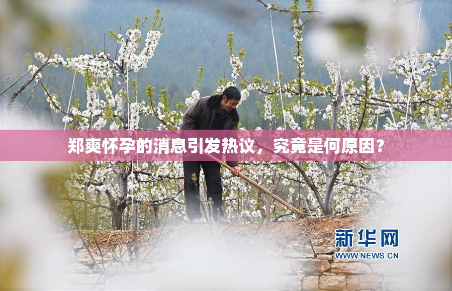 郑爽怀孕的消息引发热议，究竟是何原因？
