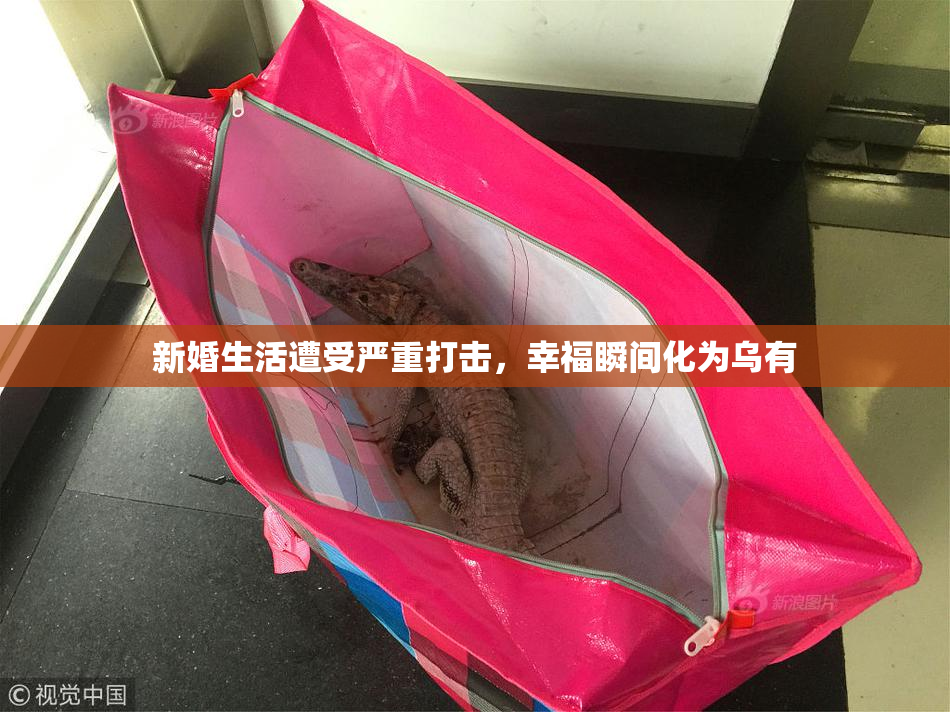 新婚生活遭受严重打击，幸福瞬间化为乌有