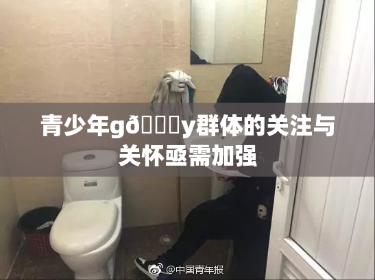 青少年g🈚y群体的关注与关怀亟需加强
